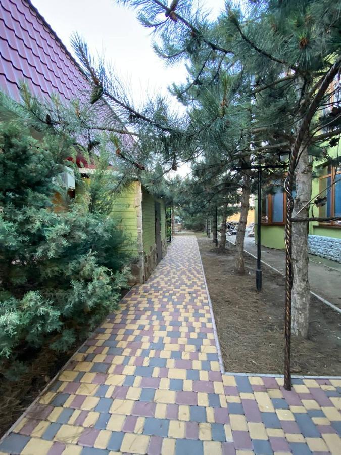 Villa Sosnovy Bor 자토카 외부 사진